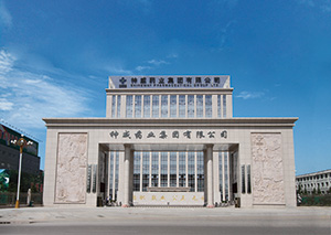 神威藥業集團有限公司